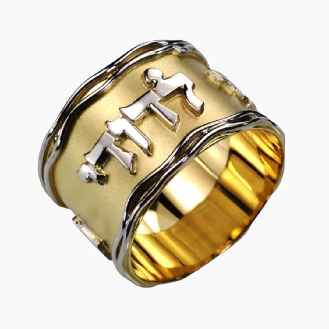 Anillo Ani Ledodi de oro de 14 quilates