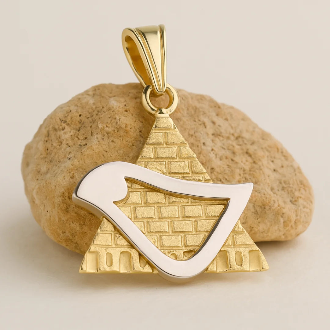 14K Gold Star of David Pendant With White Gold Dove