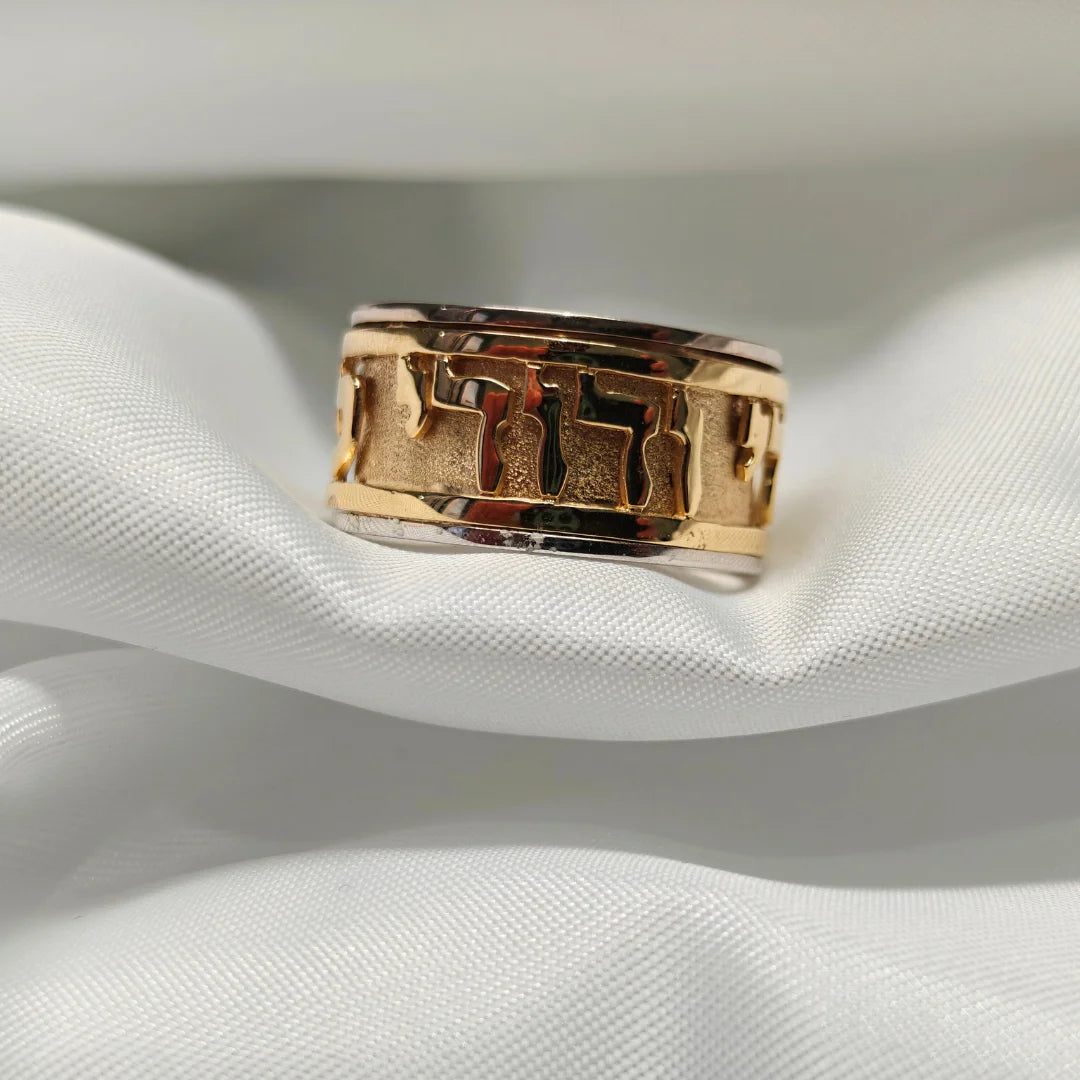Timeless 14K Gold Ani Ledodi Spinning Ring