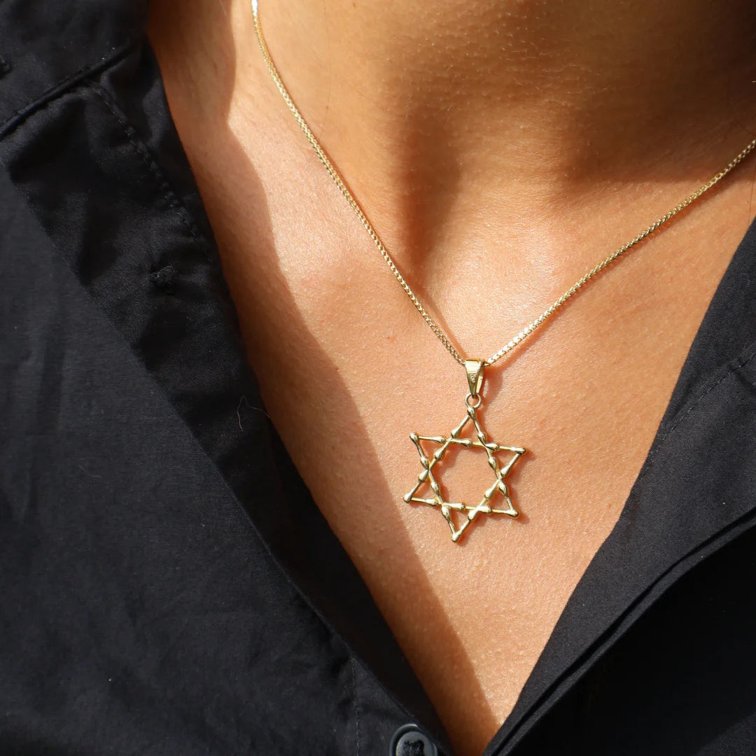 14k Gold Droplet Star of David Pendant