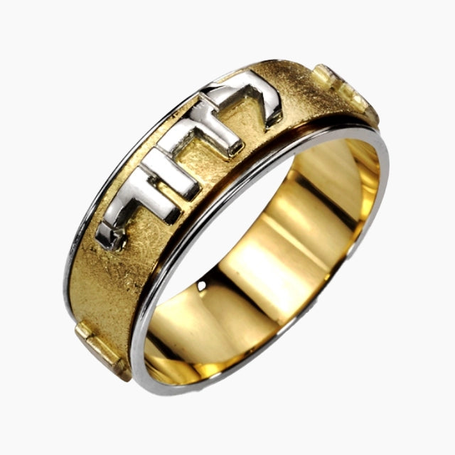 Bague tournante Ani Ledodi en or 14 carats de dévotion