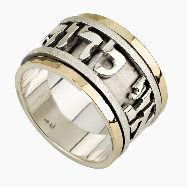 Anillo giratorio Eternal Ani Ledodi de plata con oro de 14 k