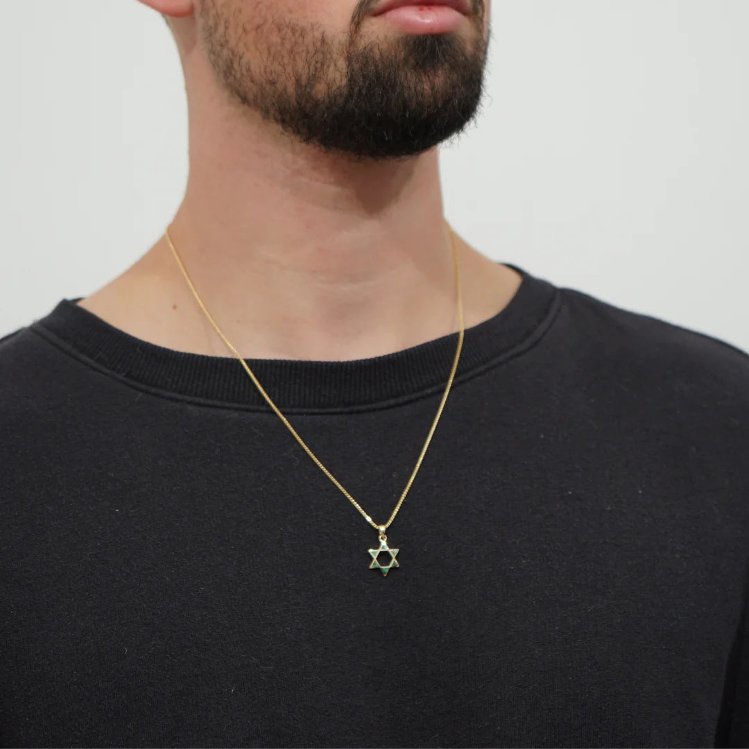 Bulbous 14K Gold Star of David Pendant With Eilat Stone