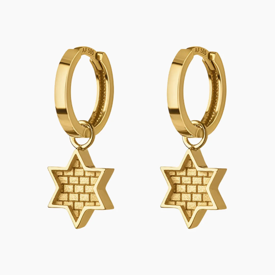 Star of David and Jerusalem Earrings