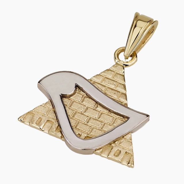 14K Gold Star of David Pendant With White Gold Dove