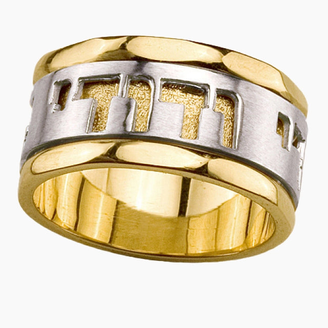 14K Yellow and White Gold Ani Ledodi Ring